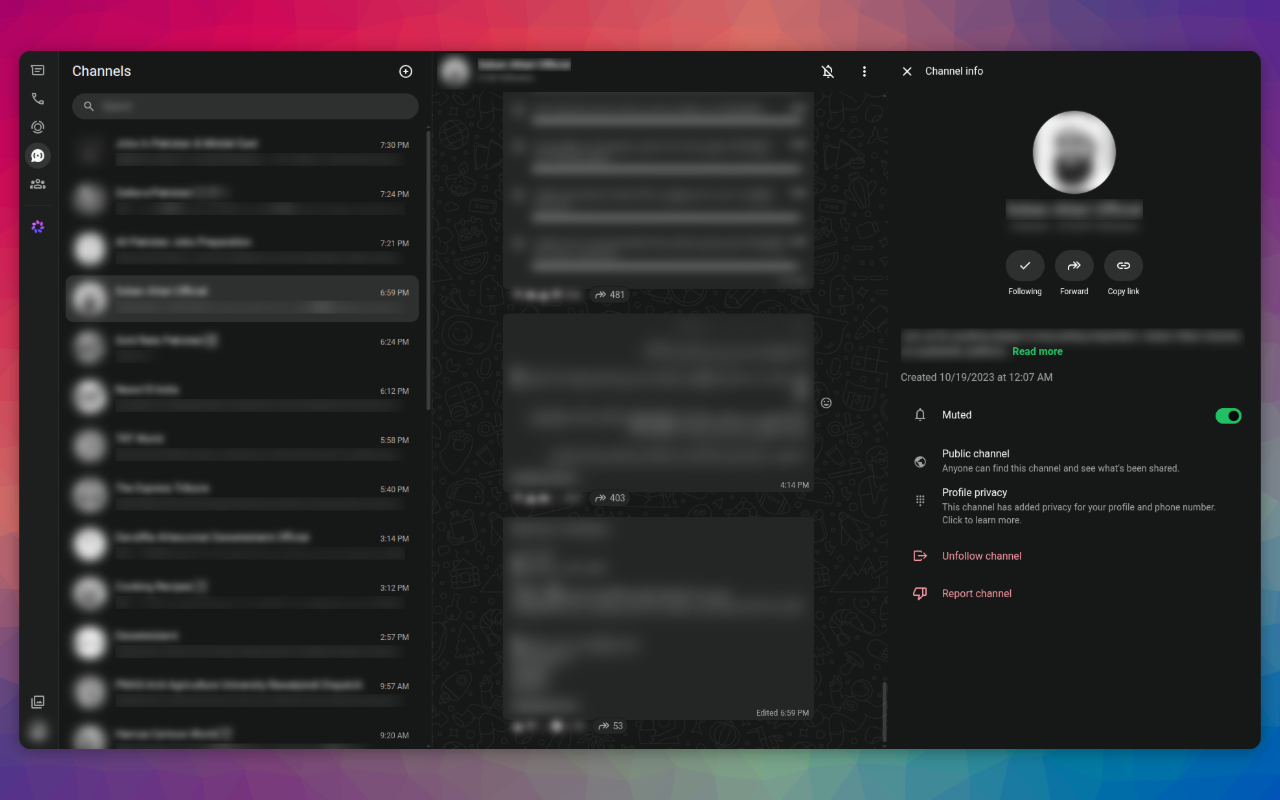WhatsApp Web Channels view with artwork and names blurred